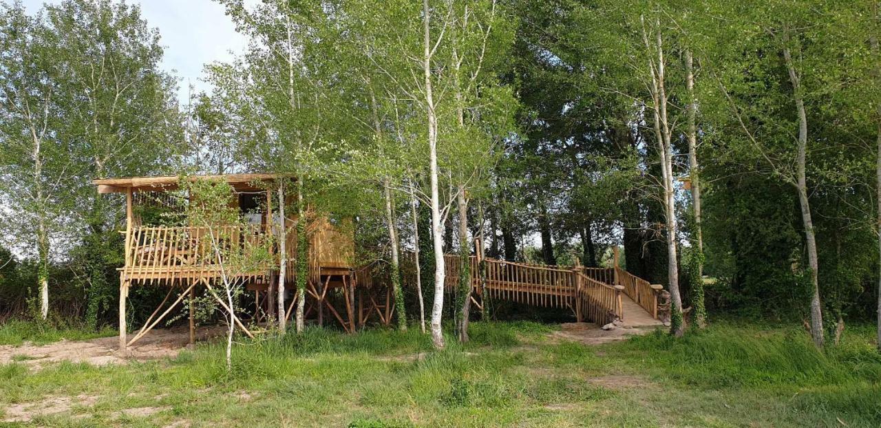 La Cabane Perchee Villelaure المظهر الخارجي الصورة