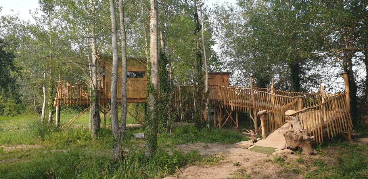 La Cabane Perchee Villelaure المظهر الخارجي الصورة